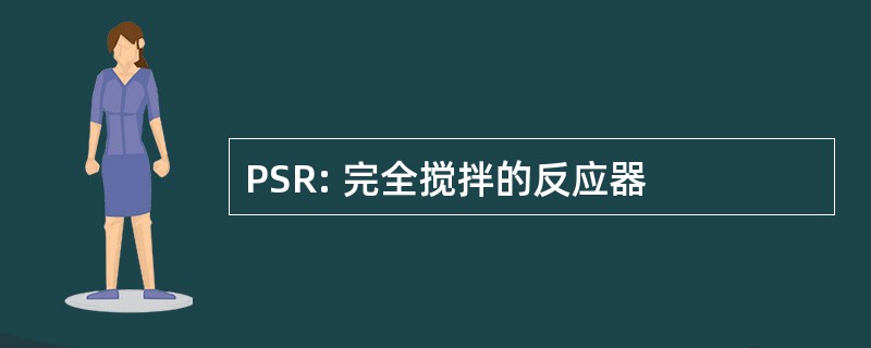 PSR: 完全搅拌的反应器