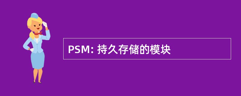 PSM: 持久存储的模块