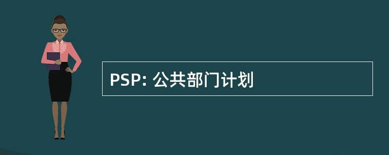 PSP: 公共部门计划