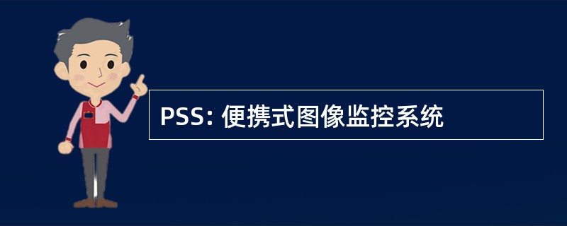 PSS: 便携式图像监控系统