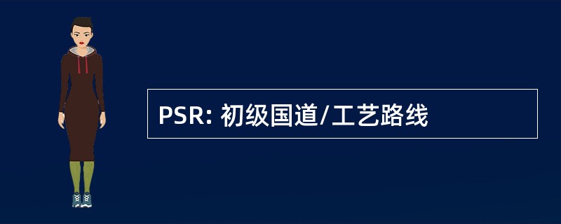 PSR: 初级国道/工艺路线