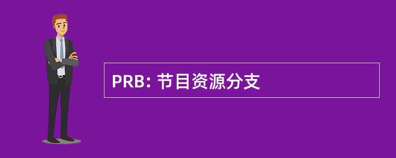 PRB: 节目资源分支