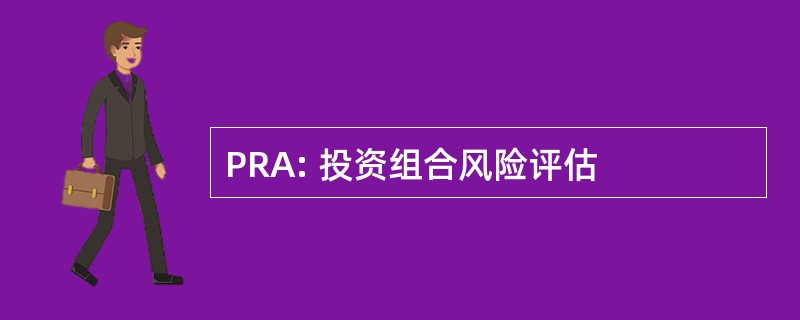 PRA: 投资组合风险评估