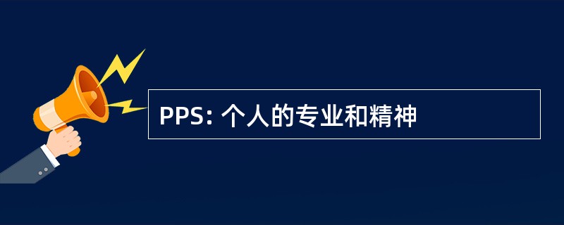 PPS: 个人的专业和精神