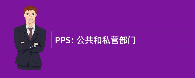 PPS: 公共和私营部门