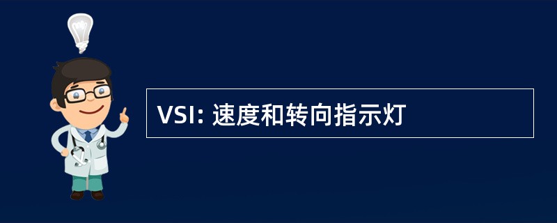 VSI: 速度和转向指示灯