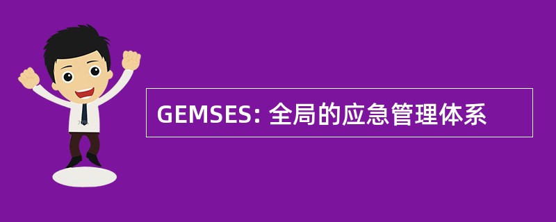 GEMSES: 全局的应急管理体系