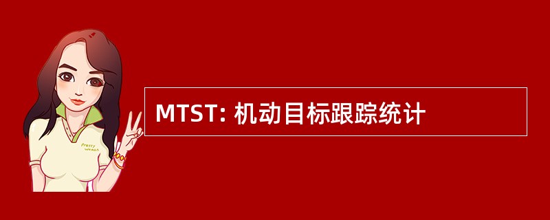 MTST: 机动目标跟踪统计