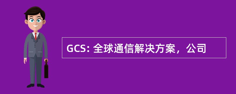 GCS: 全球通信解决方案，公司