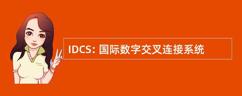 IDCS: 国际数字交叉连接系统