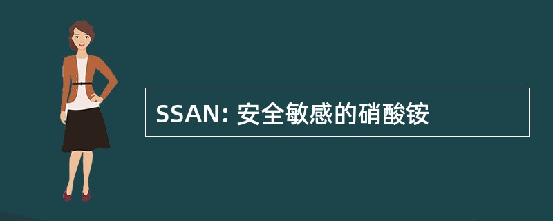 SSAN: 安全敏感的硝酸铵