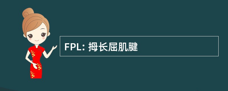 FPL: 拇长屈肌腱