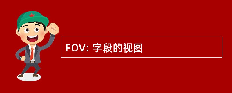 FOV: 字段的视图