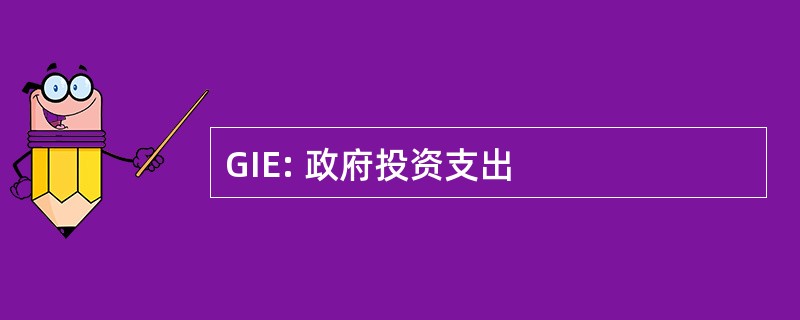 GIE: 政府投资支出