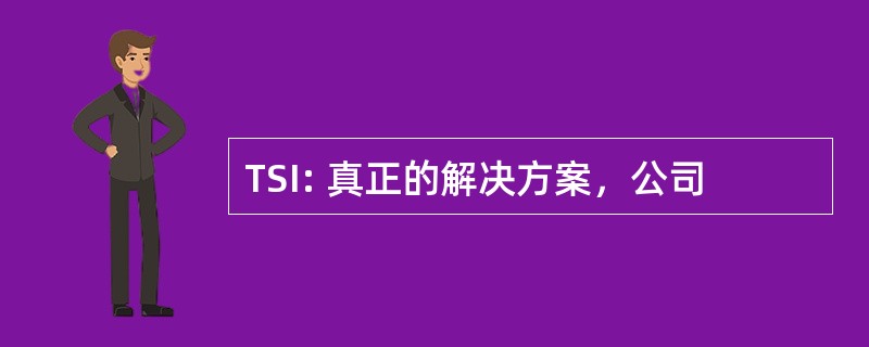 TSI: 真正的解决方案，公司