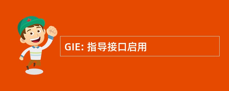 GIE: 指导接口启用