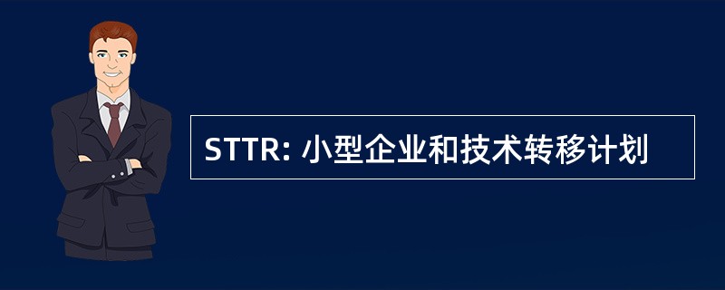 STTR: 小型企业和技术转移计划