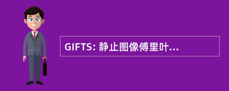 GIFTS: 静止图像傅里叶变换光谱仪