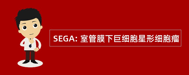 SEGA: 室管膜下巨细胞星形细胞瘤