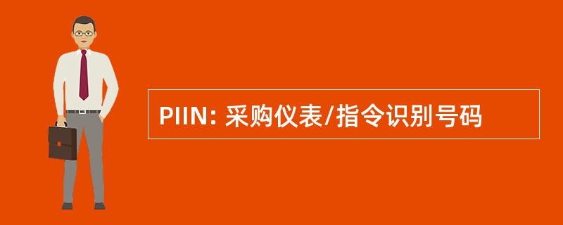 PIIN: 采购仪表/指令识别号码