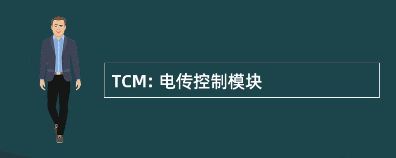 TCM: 电传控制模块