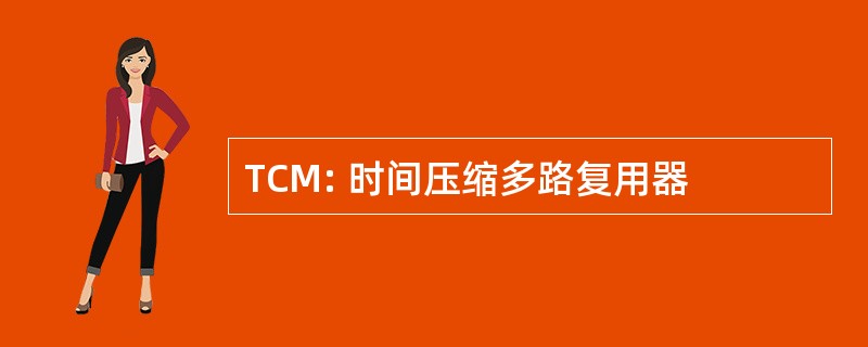 TCM: 时间压缩多路复用器