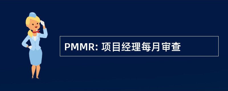 PMMR: 项目经理每月审查