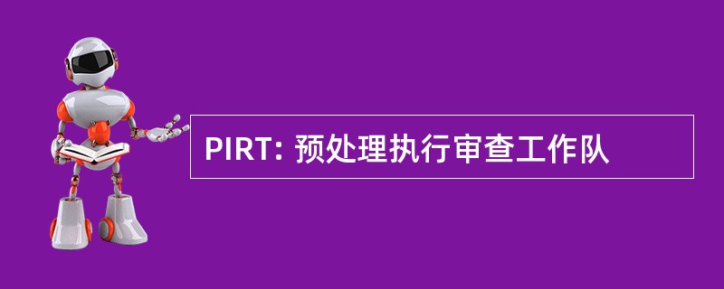 PIRT: 预处理执行审查工作队