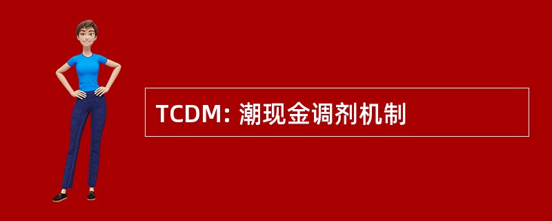 TCDM: 潮现金调剂机制