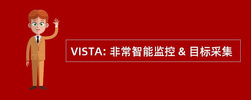 VISTA: 非常智能监控 & 目标采集