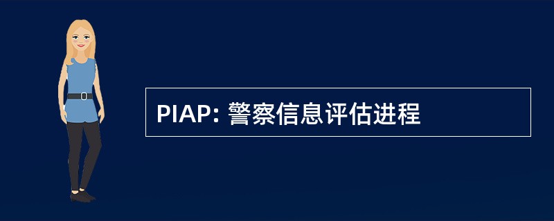 PIAP: 警察信息评估进程