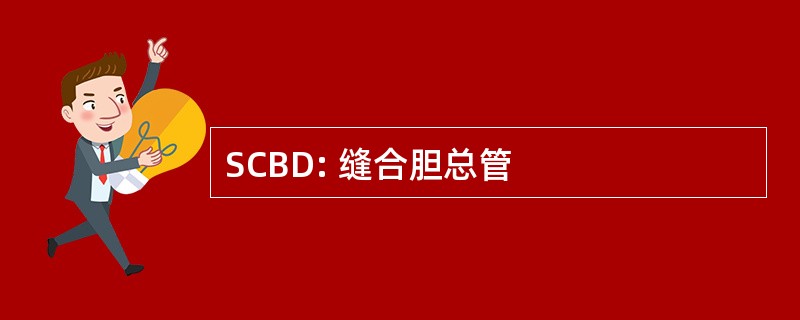 SCBD: 缝合胆总管