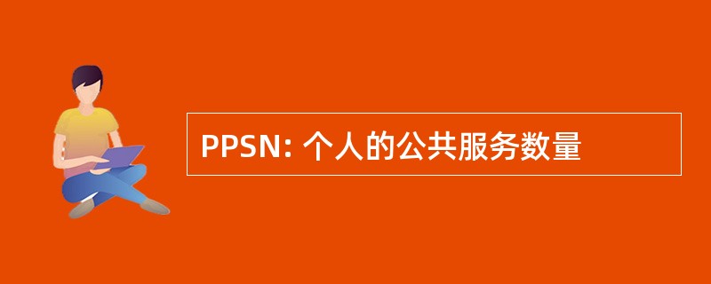 PPSN: 个人的公共服务数量