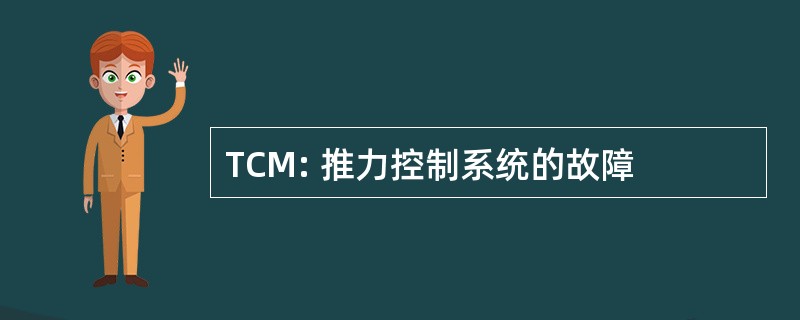 TCM: 推力控制系统的故障