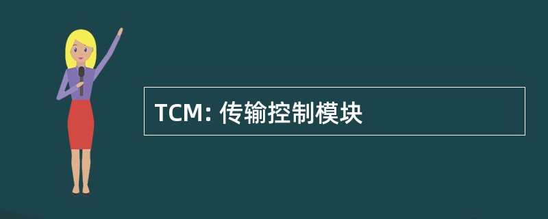 TCM: 传输控制模块