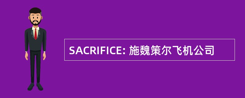 SACRIFICE: 施魏策尔飞机公司