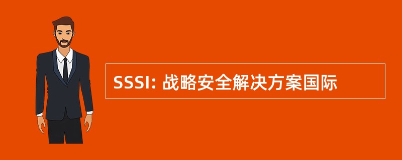 SSSI: 战略安全解决方案国际