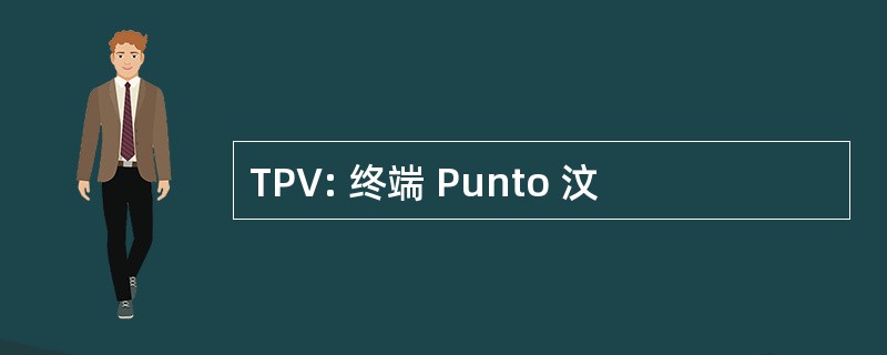 TPV: 终端 Punto 汶