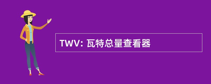 TWV: 瓦特总量查看器