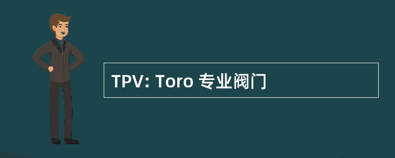 TPV: Toro 专业阀门