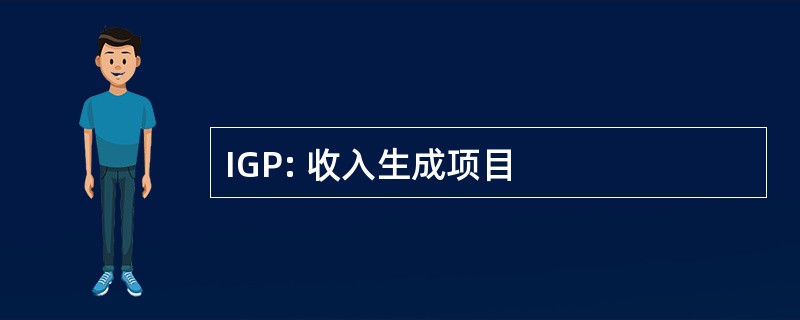 IGP: 收入生成项目