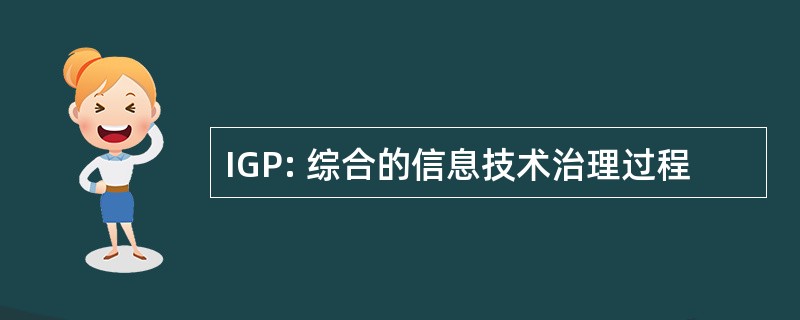 IGP: 综合的信息技术治理过程