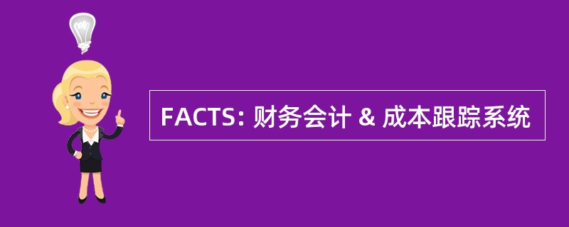 FACTS: 财务会计 & 成本跟踪系统