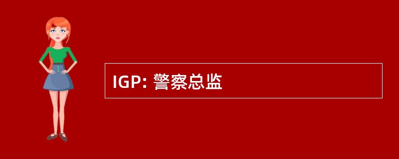 IGP: 警察总监