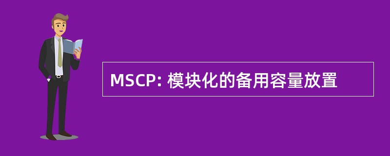 MSCP: 模块化的备用容量放置