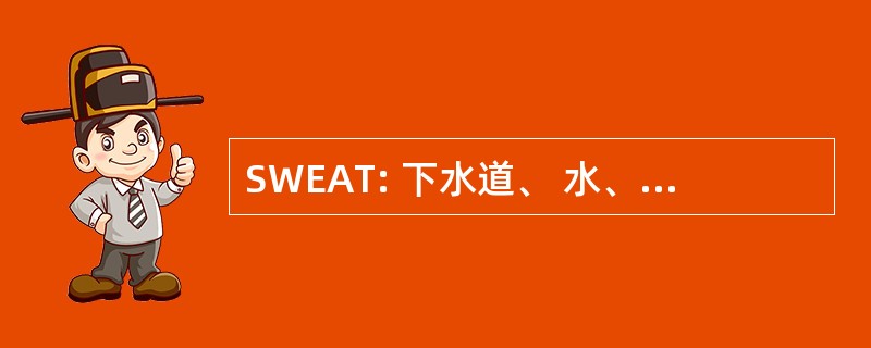 SWEAT: 下水道、 水、 电力和电信