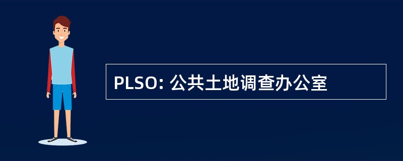 PLSO: 公共土地调查办公室