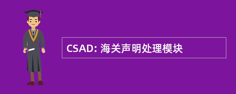 CSAD: 海关声明处理模块