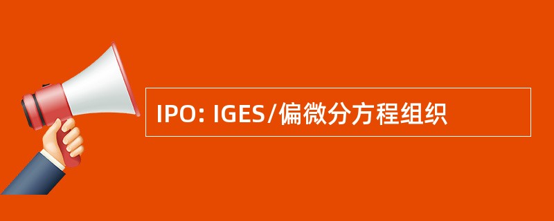 IPO: IGES/偏微分方程组织