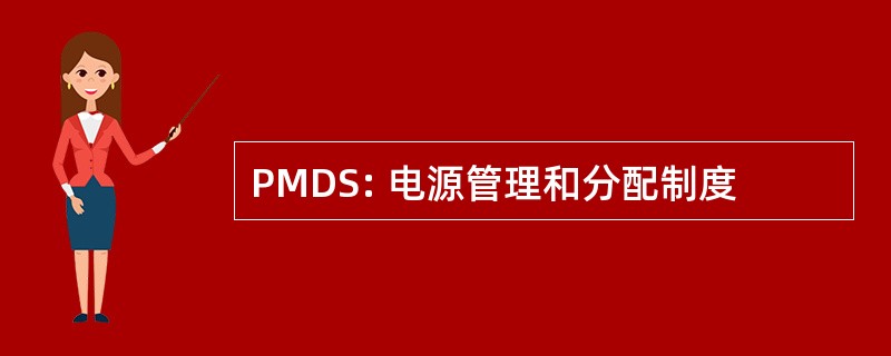 PMDS: 电源管理和分配制度